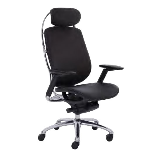 Awesome Executive Chairs 